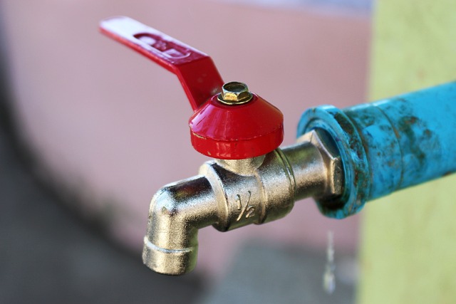 Local Plumbing Experts in Asquith